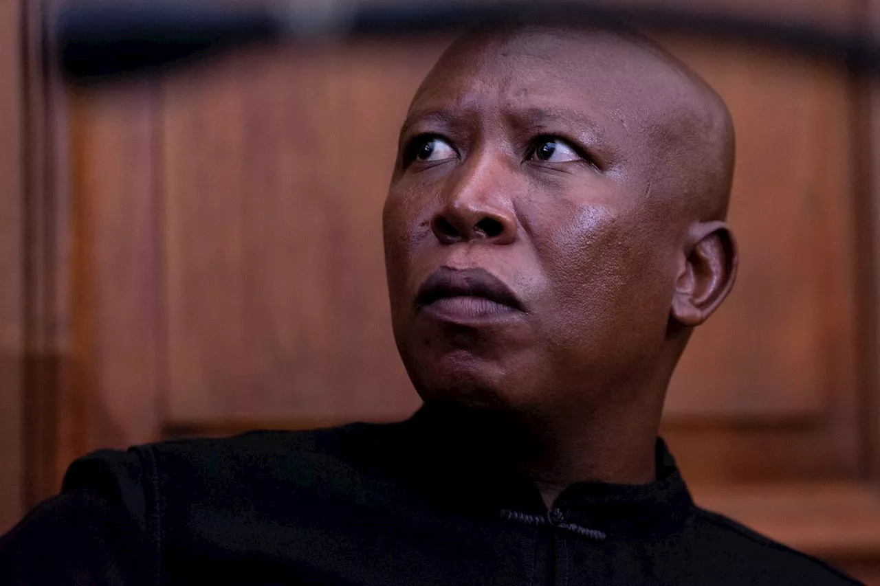 Malema violated public trust by asking a judge about his ruling against the EFF