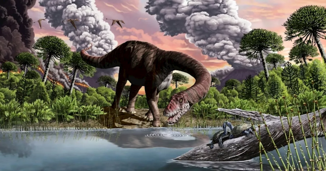 New Study Challenges Theory on Extinction of Dinosaurs