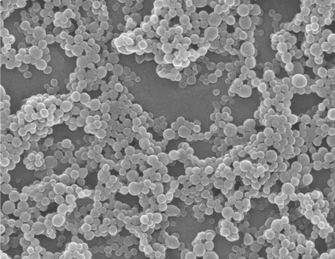 Modular Nanoparticles for Tailored Applications