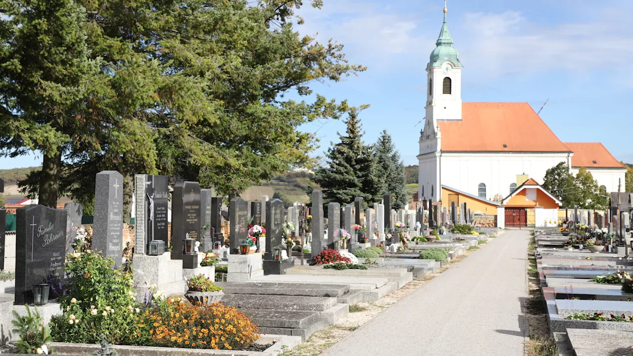 Bestattungstrends im Bezirk Gänserndorf