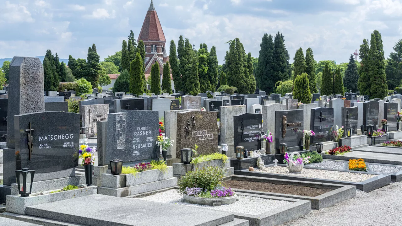 Fast die Hälfte lässt sich in Wiener Neustadt einäschern