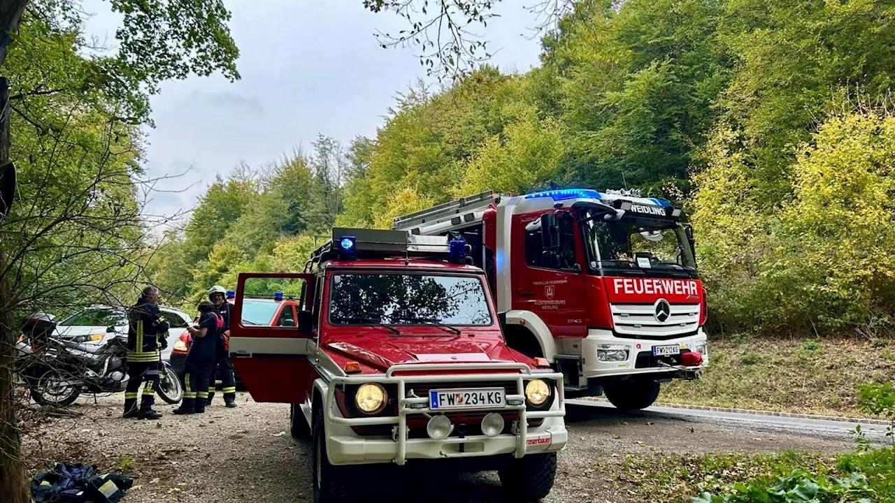 Vom Baum getroffen: Feuerwehr Weidling rast Verunfalltem zu Hilfe