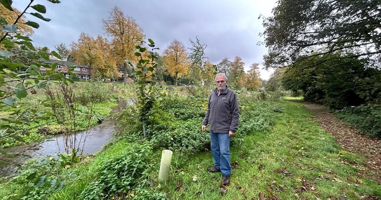 Council say 'disgraceful' unkempt city park is like that deliberately