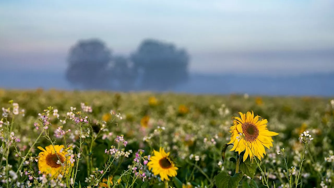 Bayern: Sonniger Feiertag und milde Temperaturen in Bayern erwartet