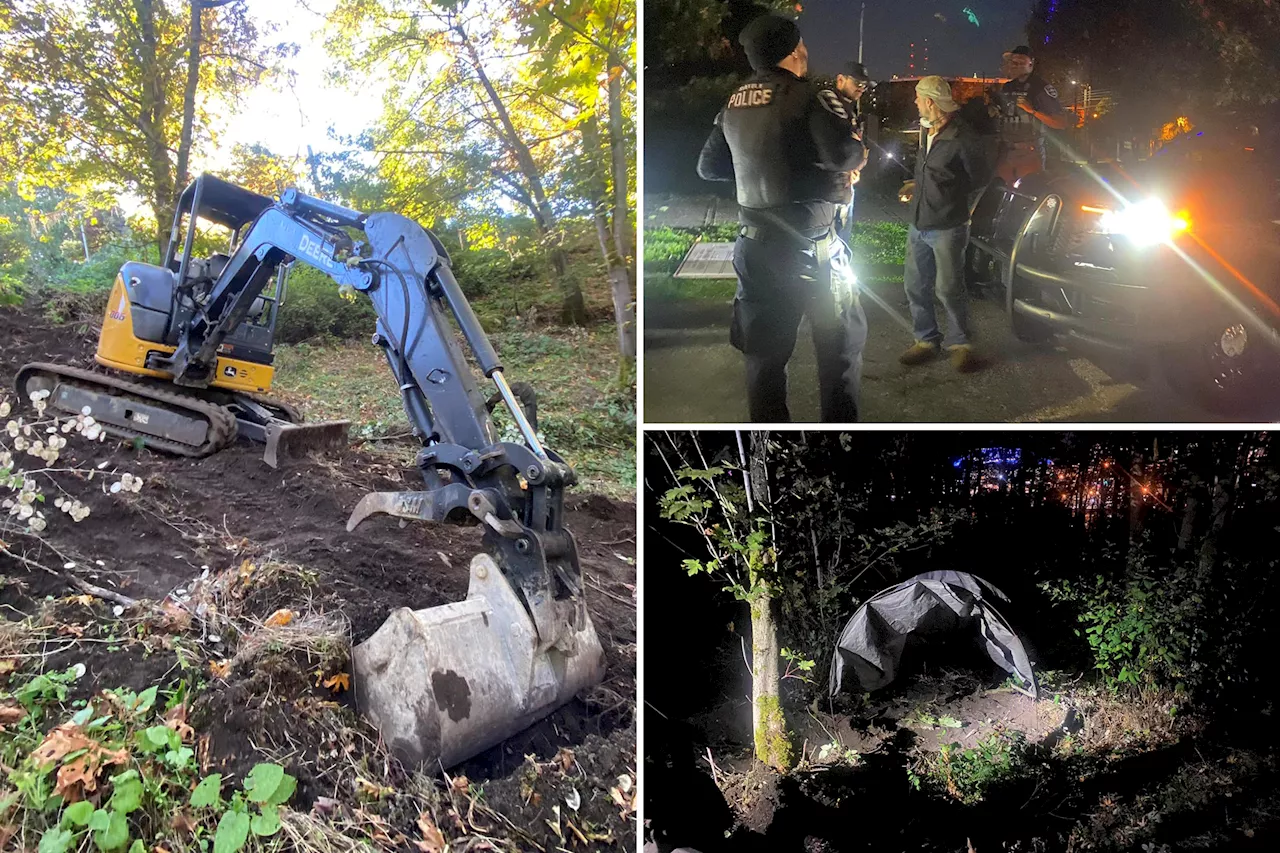 Man busted for allegedly using stolen excavator to build himself a house in Seattle park