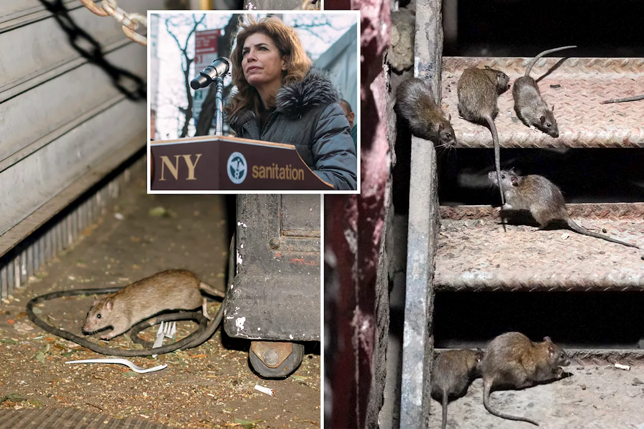 NYC's rat-killing method '100%' effective and will expand to new neighborhoods after UES success, pol says