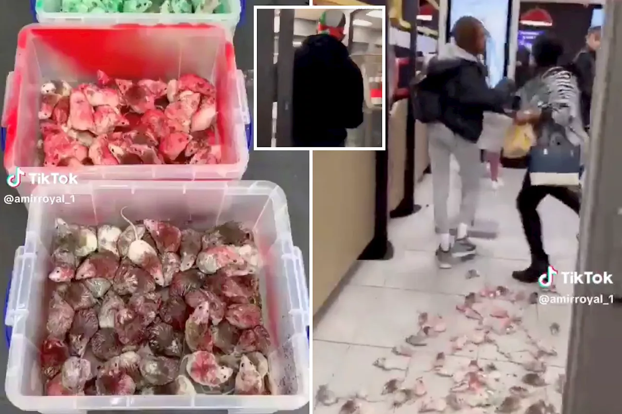 Shocking video shows pro-Palestinian protester releasing mice in McDonald's