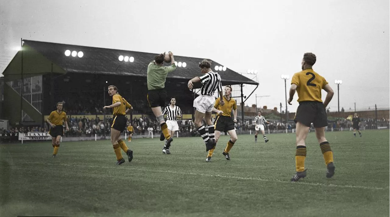 Golden Shots and Visions of Blue: A Colourful Look Back at Watford FC in the 1950s and 1960s