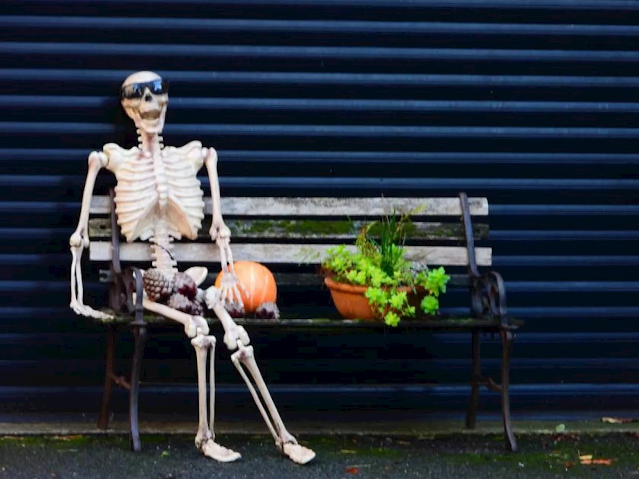 Skeleton Enjoys Halloween Season on a Bench