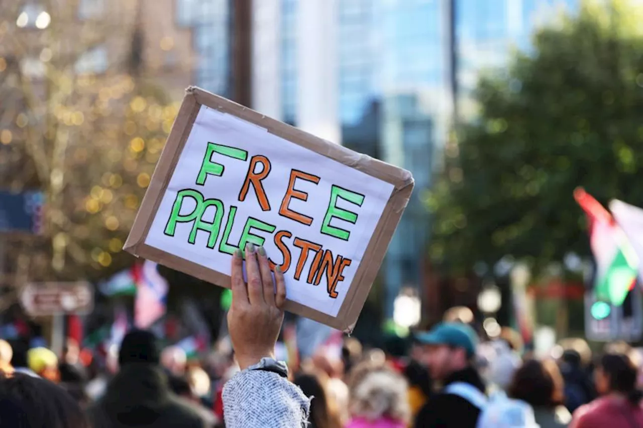 Two Women Arrested After Pro-Palestine Protest Pictures Shared by Metropolitan Police