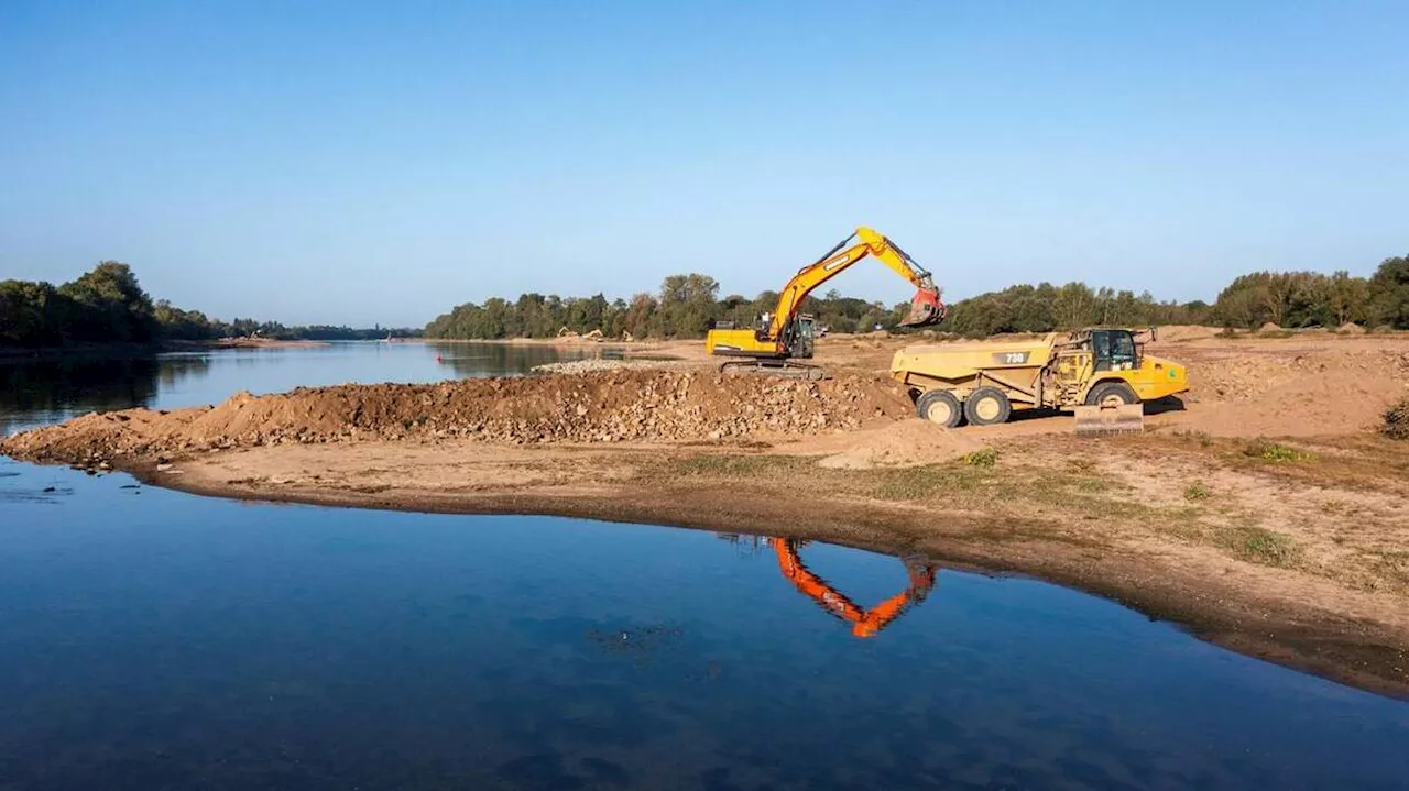 Chauves-souris protégées, serpents déplacés… Les précautions à prendre pour un chantier sur la Loire