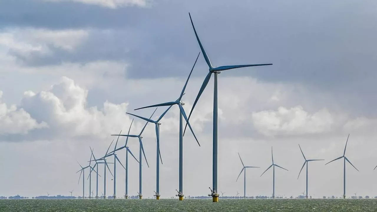 Environnement. La Cop28 mettra l’accent sur les énergies renouvelables