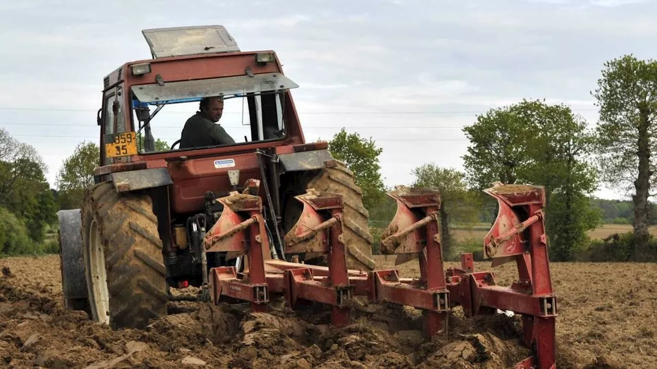 Les agriculteurs français interdits de détruire des prairies