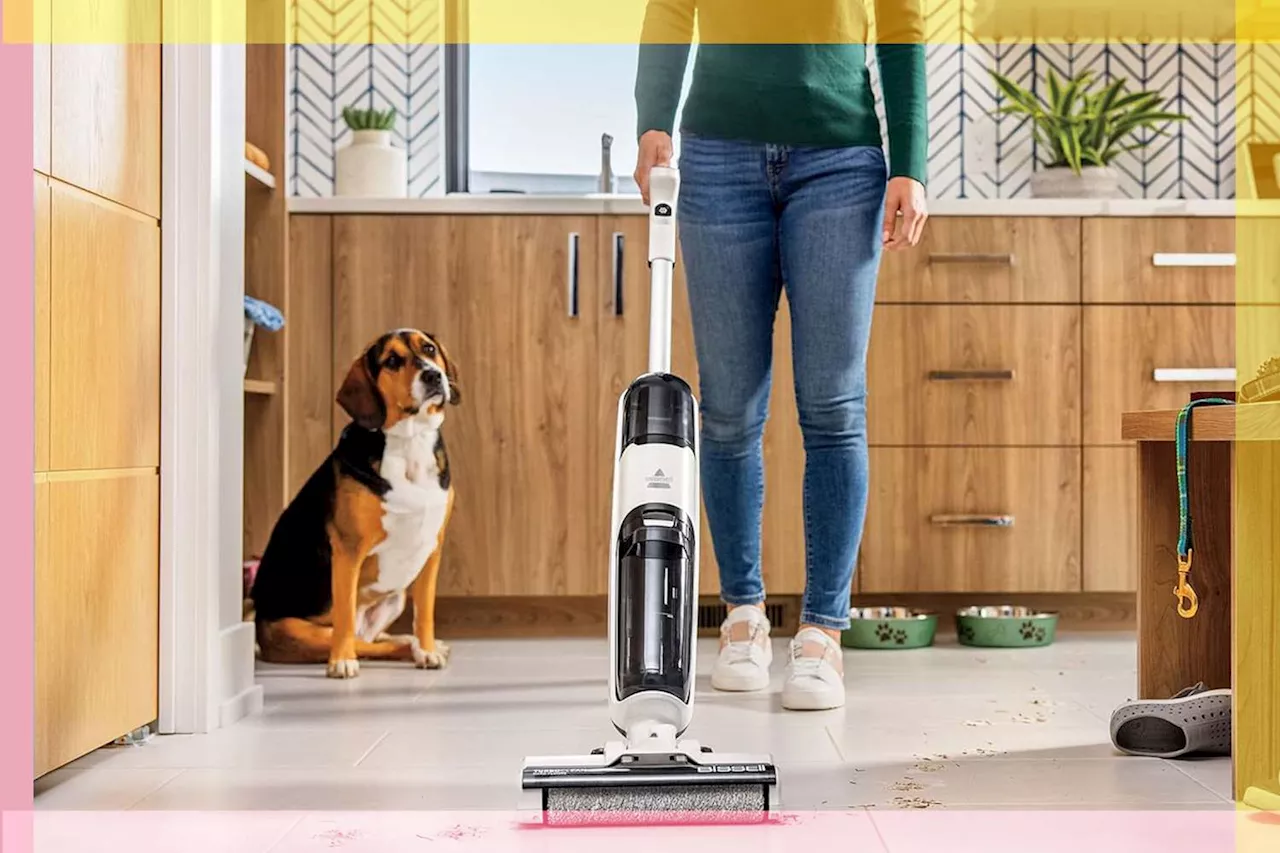 This $350 Wet-Dry Vacuum Is a ‘Go-To’ for Quick Cleaning, and Now It's Just $180 at Amazon