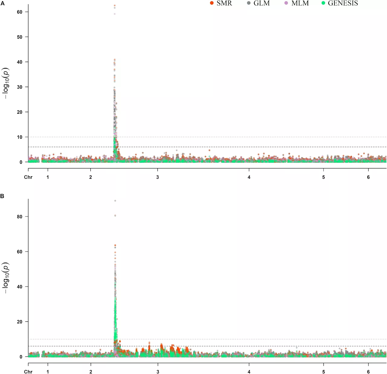 Elucidating the genetic basis of downy mildew resistance in spinach with skim resequencing: RPF2 and RPF3 loci