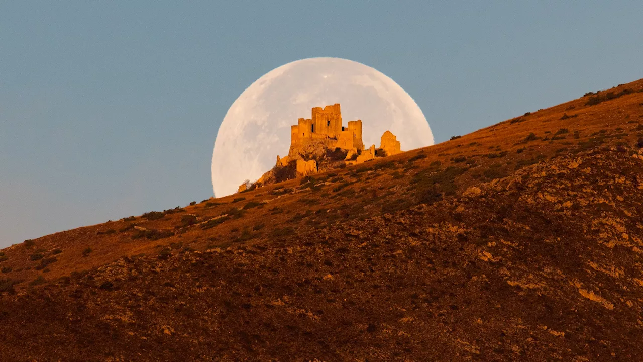 You can see three meteor showers at their peak and a full Beaver Moon this November