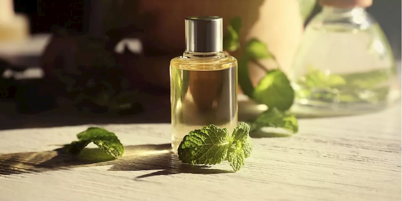 How to Use Peppermint Oil: 8 Science-Backed Peppermint Oil Benefits