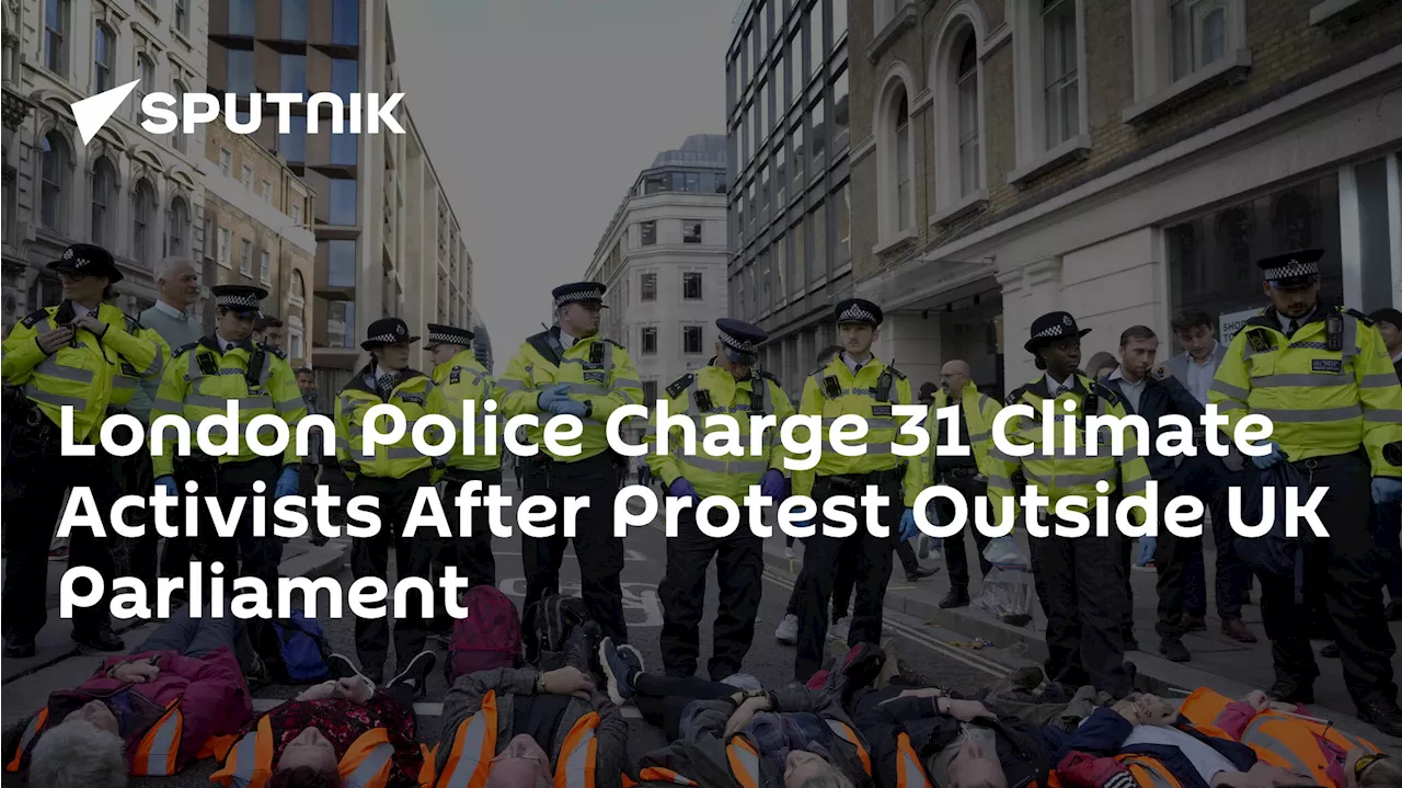 London Police Charge 31 Climate Activists After Protest Outside UK Parliament