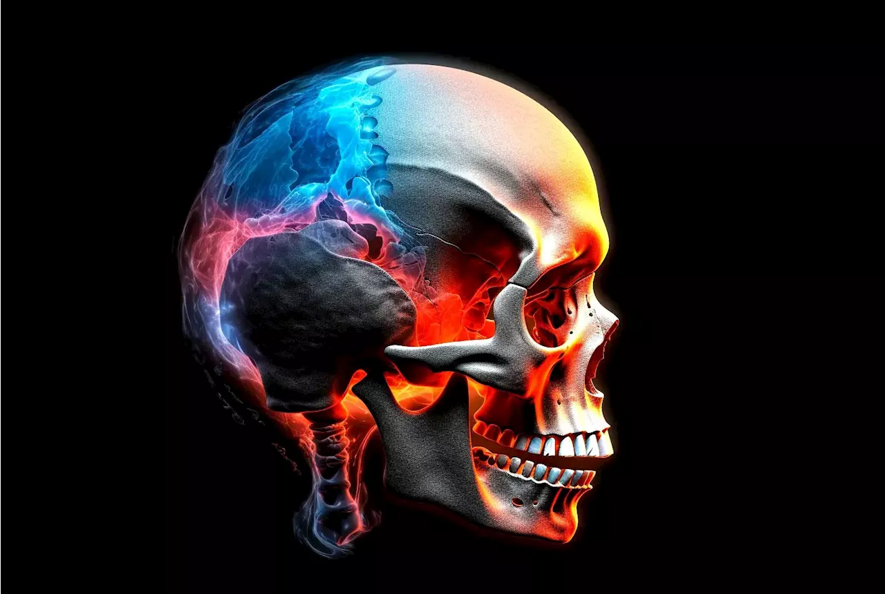 Bone Stem Cell Discovery: The Hidden Cause of Premature Skull Fusion