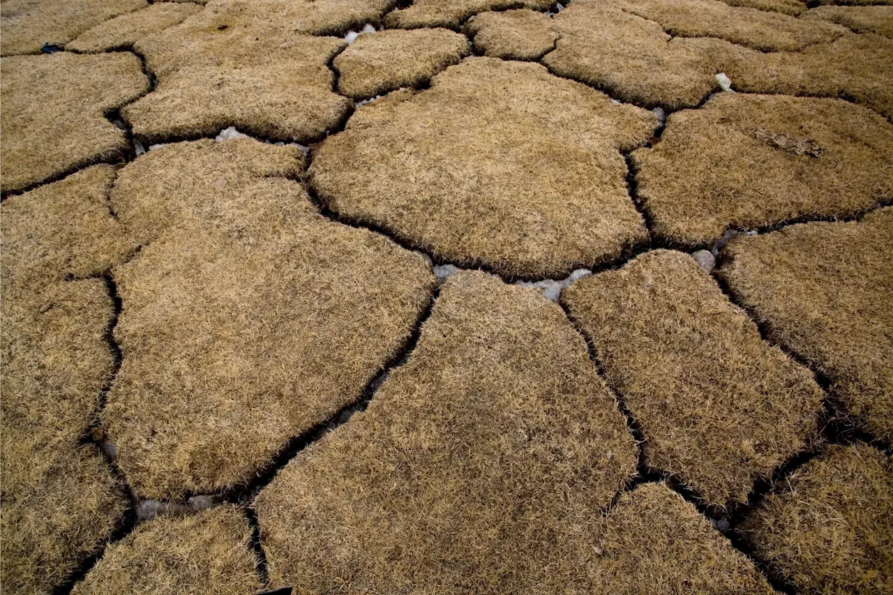 Permafrost Apocalypse: 93% Could Vanish by 2100, Warns Global Study