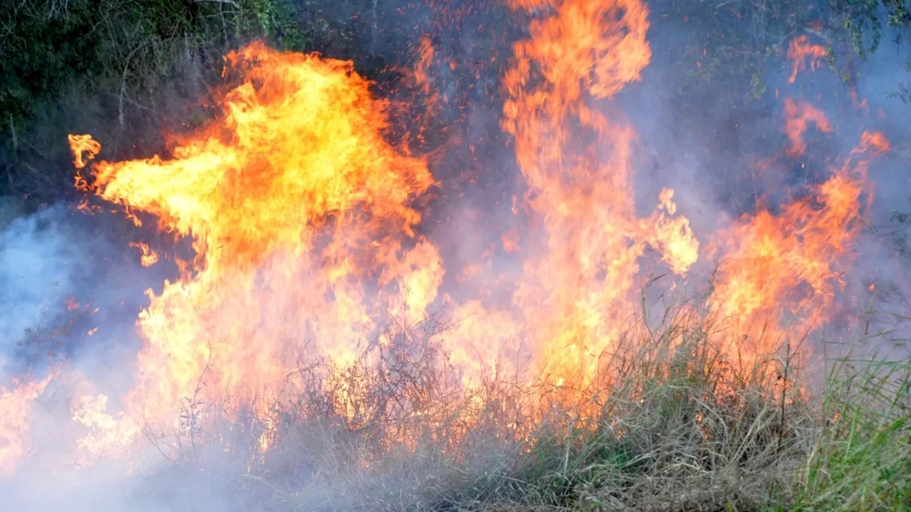 Emergency bushfire warning issued for Queensland&#8217;s Western Downs