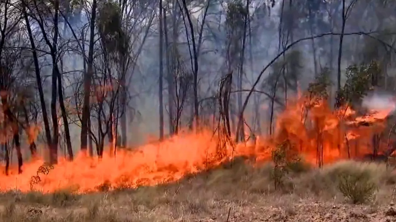 Major evacuations as ‘deadly’ fires stare down towns in Queensland