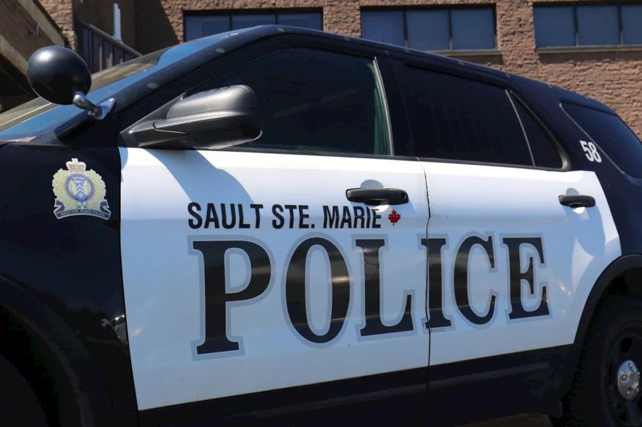 Home intruder bites victim, can now chew on long list of charges: Sault police