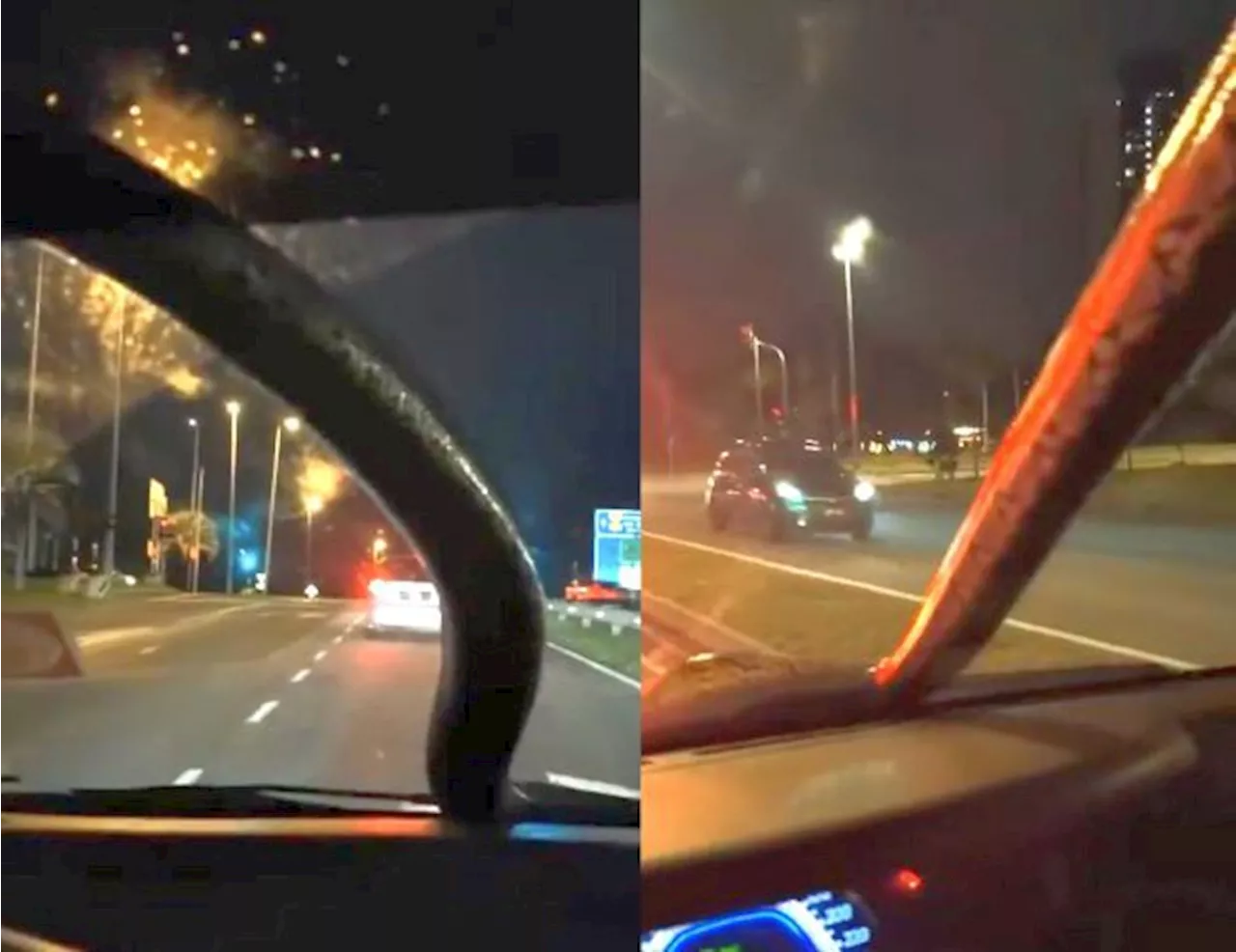 Python in car forces driver to drive straight to fire station to seek help