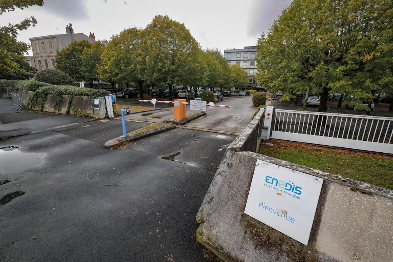 La Rochelle : ils se mobilisent pour sauver tous les tilleuls du site Enedis