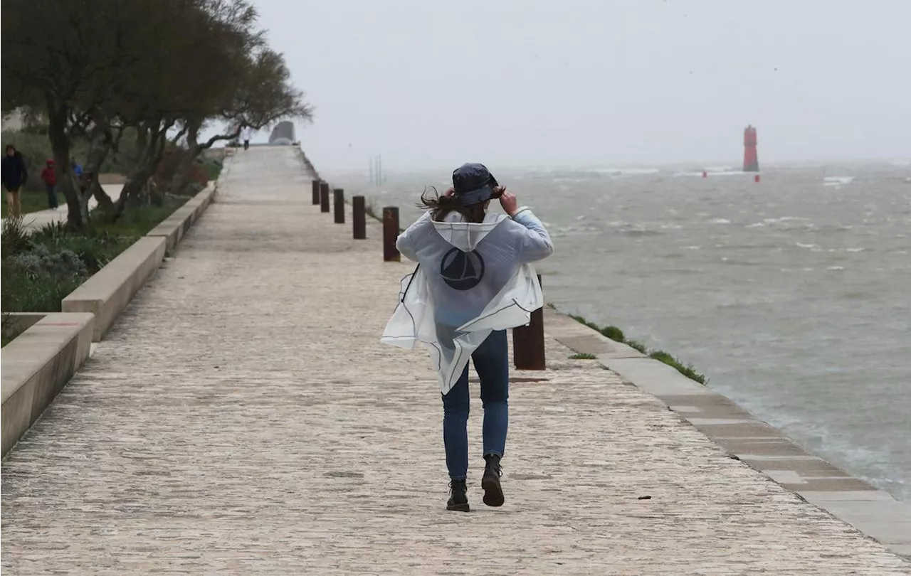 Tempête Ciaran : l’Agglo de La Rochelle déploie son dispositif de protection