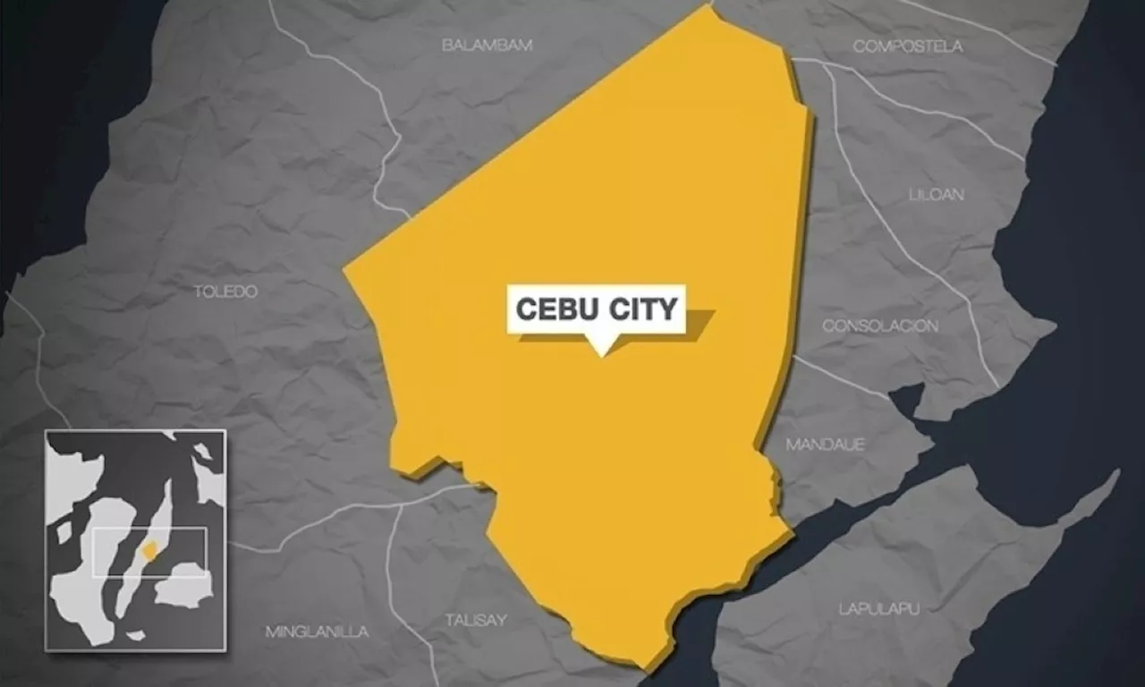 Sagad sa mga incumbent nga kapitan sa Cebu City na-reelected