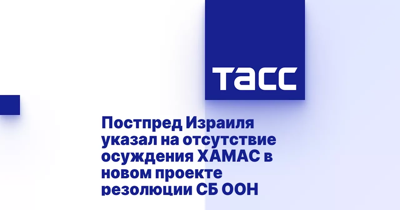 Постпред Израиля указал на отсутствие осуждения ХАМАС в новом проекте резолюции СБ ООН