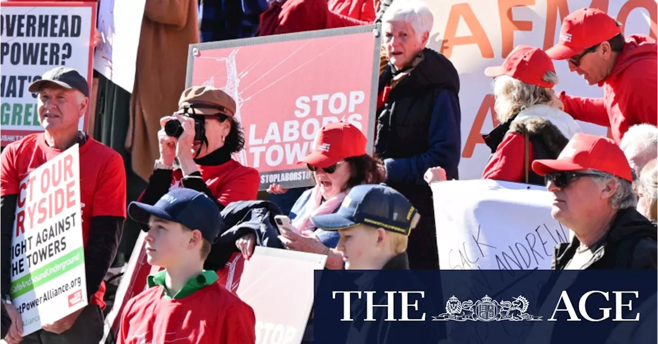 Farmers’ lobby swings behind Dutton on campaign against wind farms