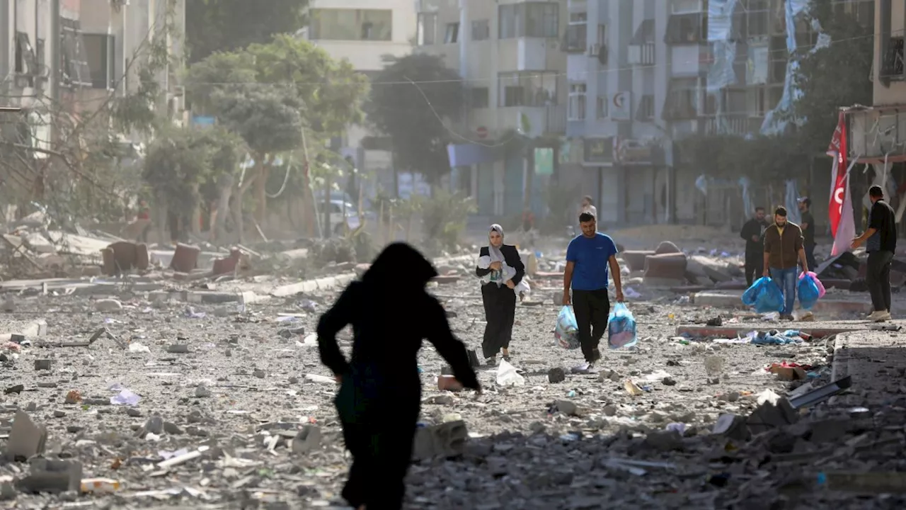 UN agency calls for immediate ceasefire in Gaza