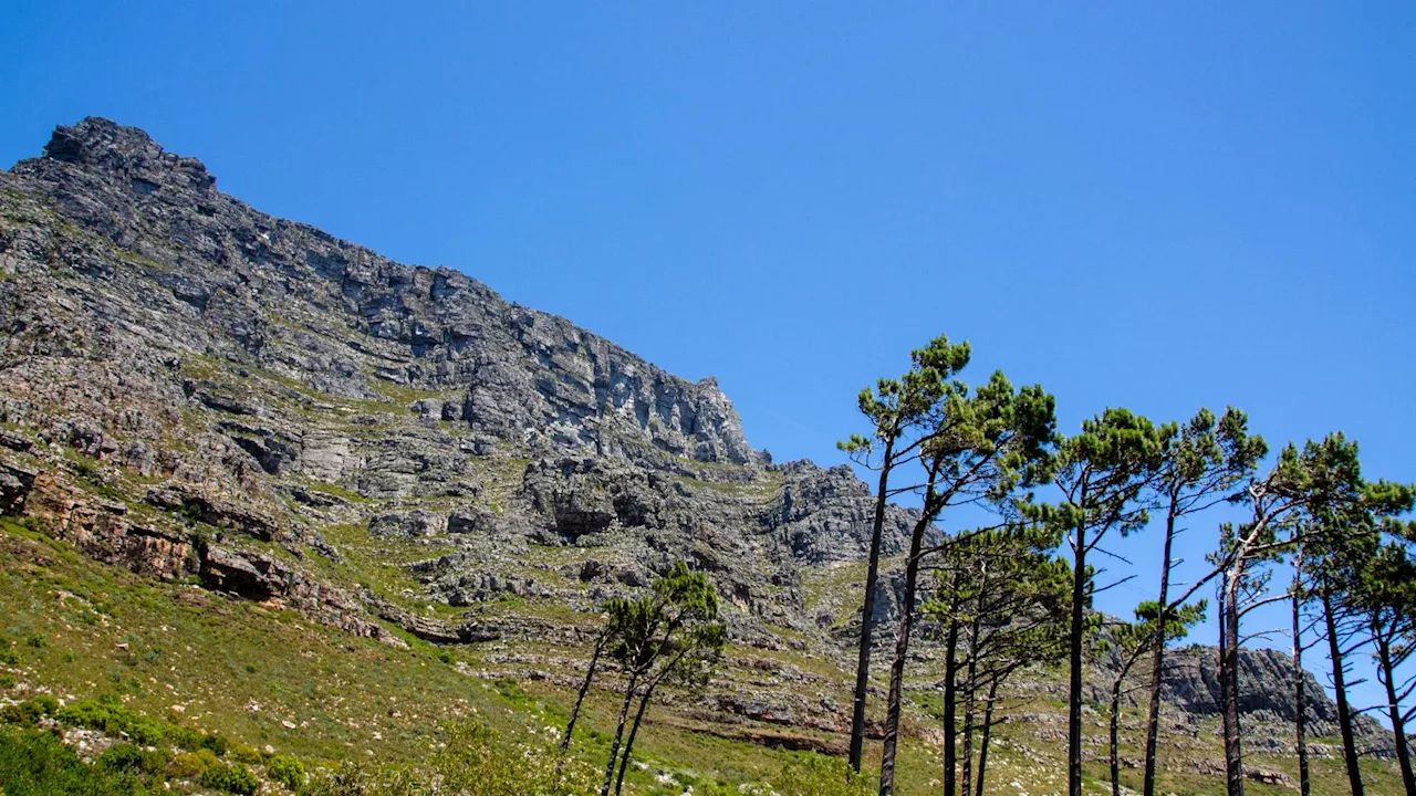 Cape Town communities rally against recent Table Mountain muggings