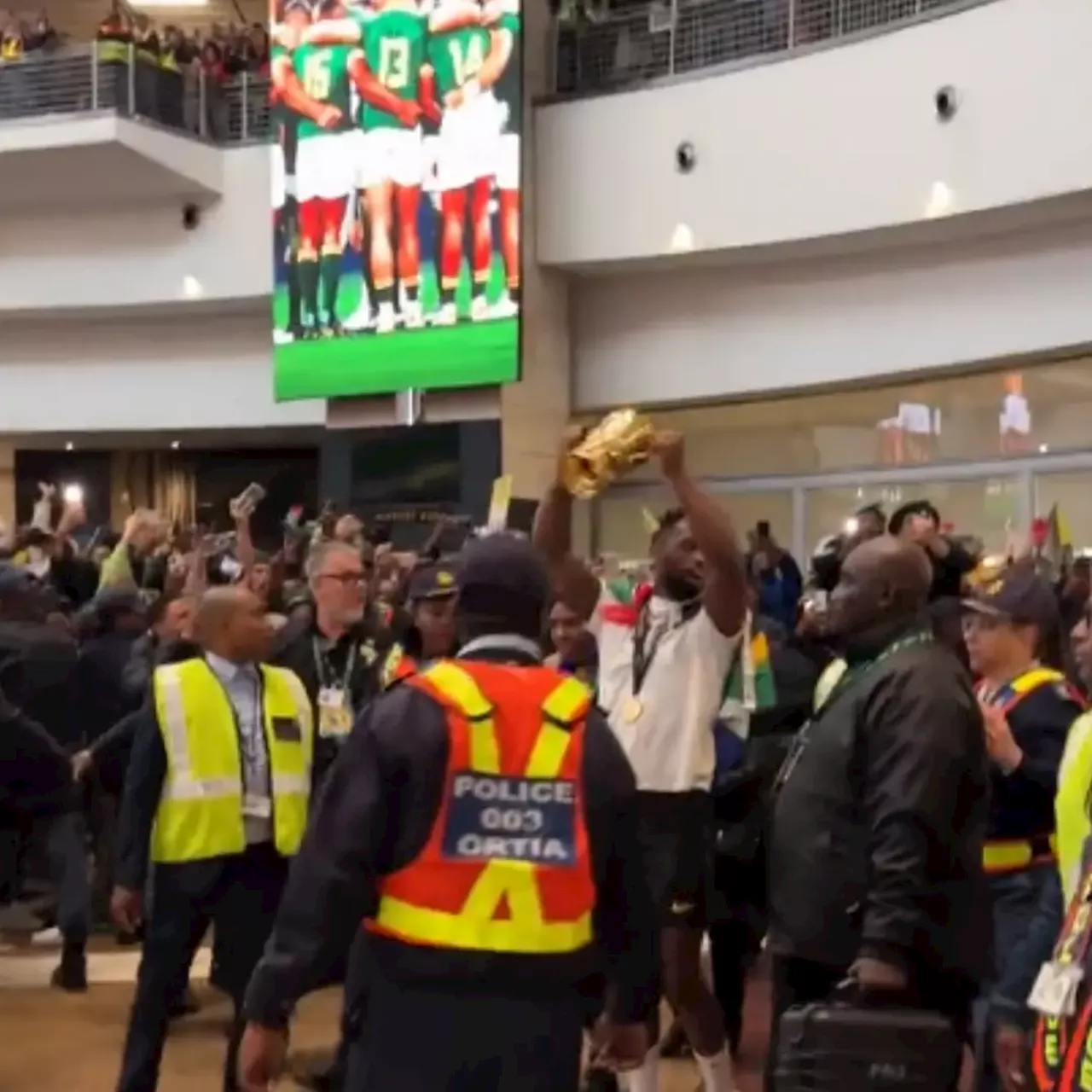 WATCH: Crowds goes wild as Springboks arrives [VIDEO]