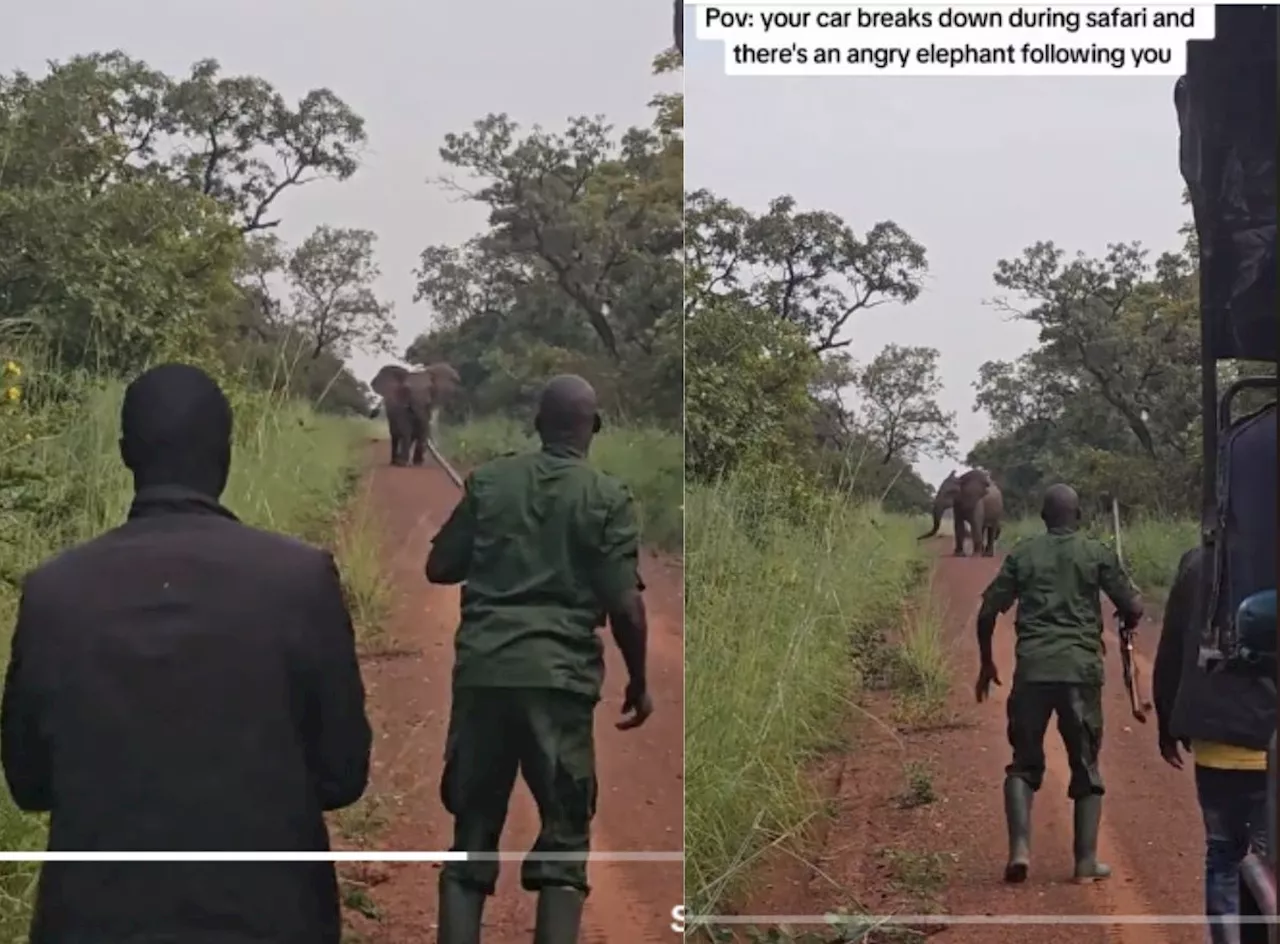 Watch: Safari vehicle breakdown leads to angry elephant encounter (Video)