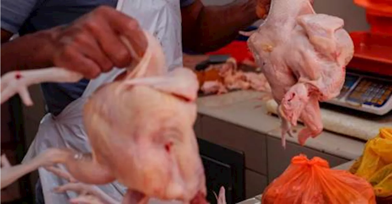 Armizan: Chicken prices can be lower than RM9.40 per kg after Nov 1