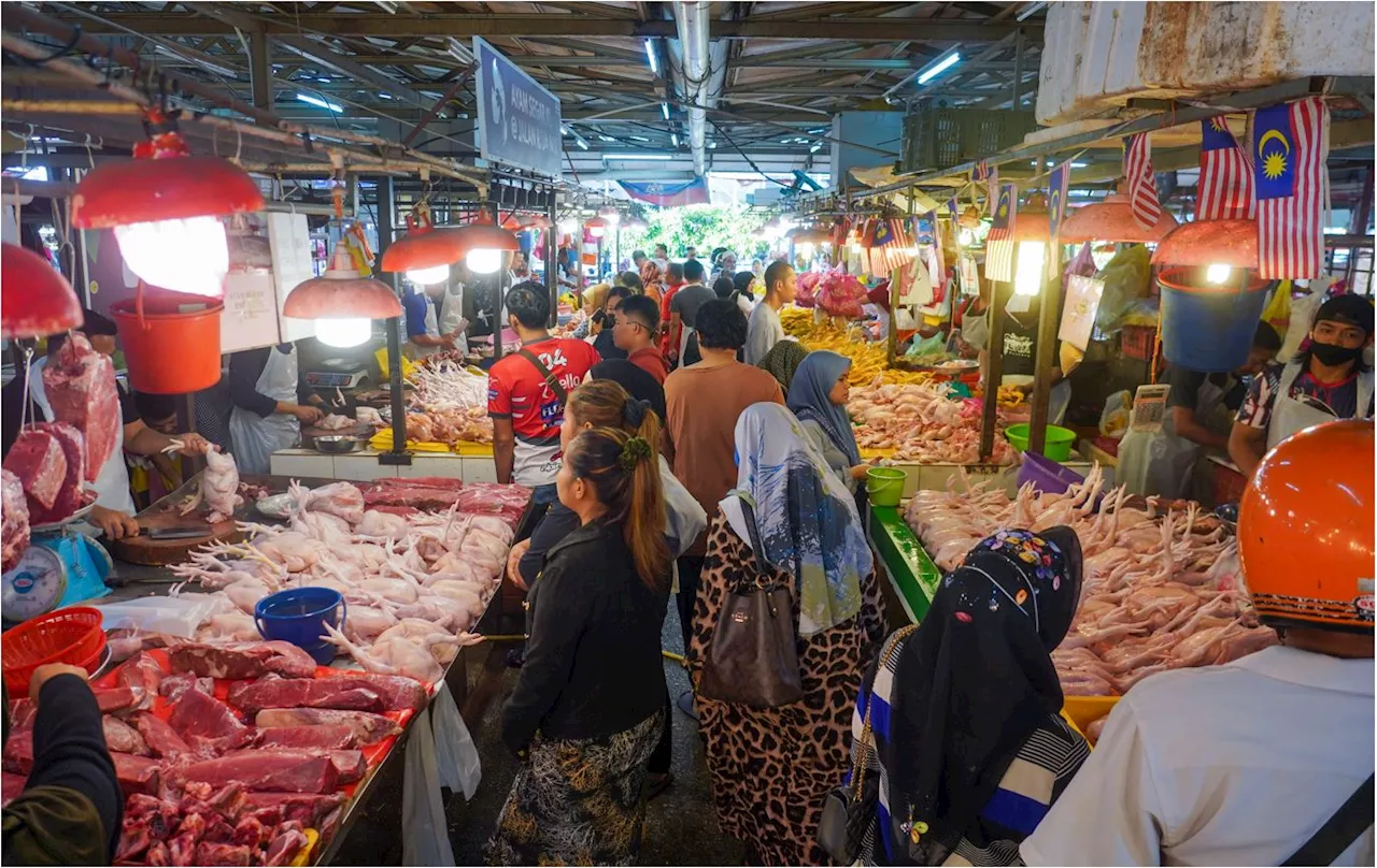 Pemborong jangka harga ayam cecah RM11 sekilogram