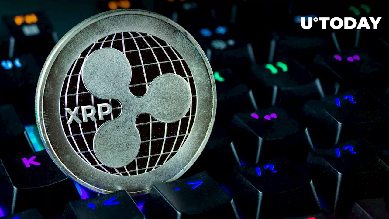 XRP Has More Under Curtains Than You Might Think: Details