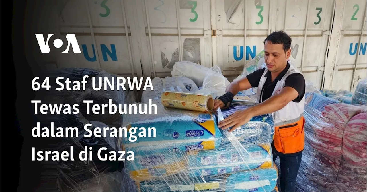 64 Staf UNRWA Tewas Terbunuh dalam Serangan Israel di Gaza