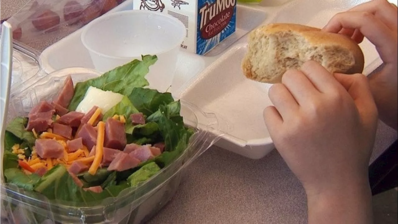 WFAA Rewind: The everchanging balance for healthy school lunches