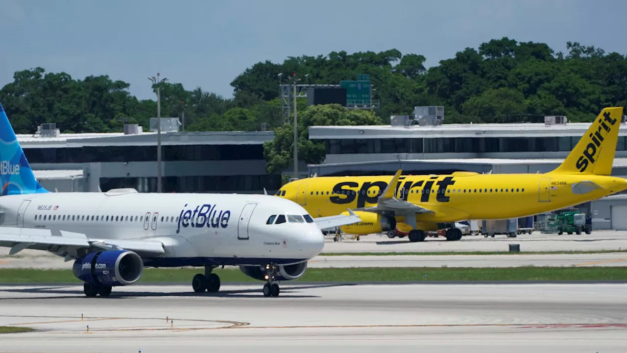 Airline Shares Plummet After Slashing Full-Year Outlook