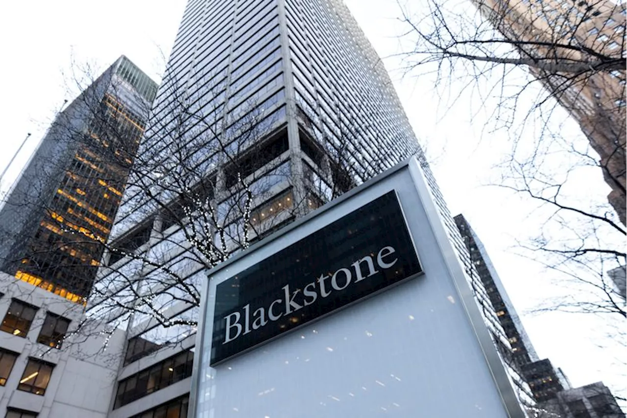 Blackstone, Vista Equity to buy software firm Energy Exemplar -sources