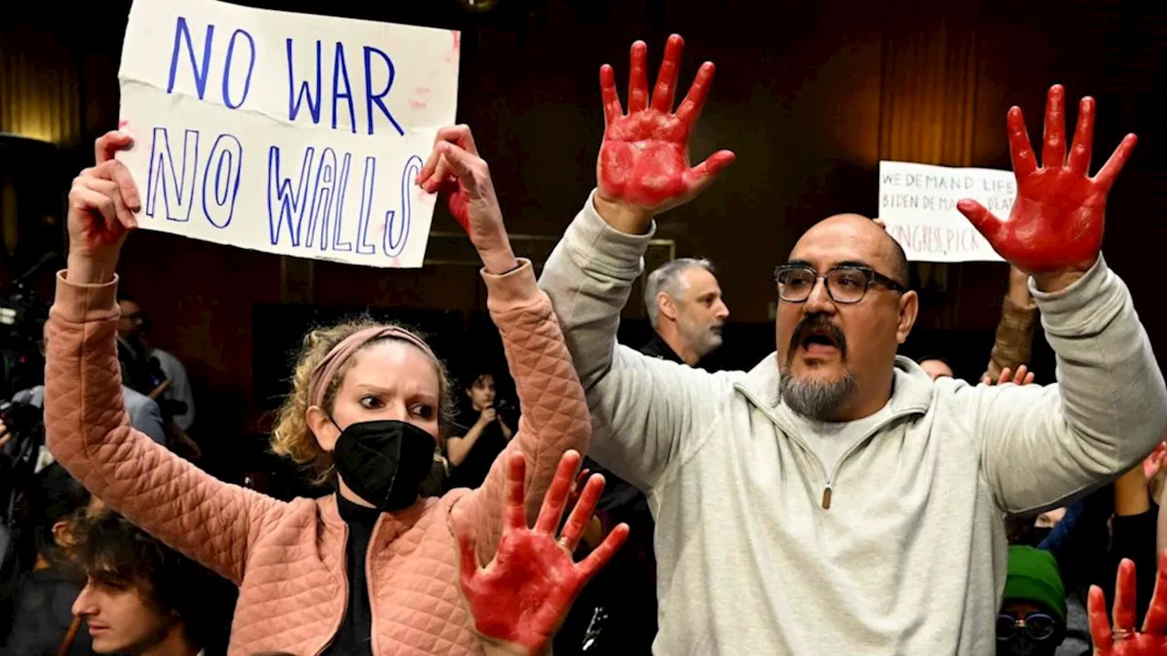 ‘Ceasefire Now’: Protesters Interrupt Senate Hearing on Israel, Ukraine Aid