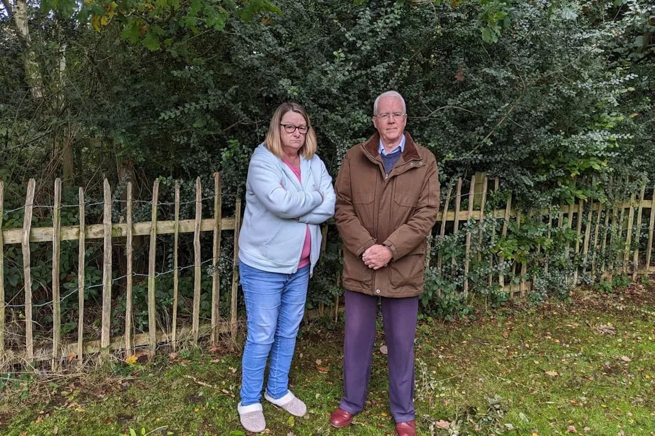 Yorkshire grandmother 'puts heating on in July' due to trees blocking out daylight into her home