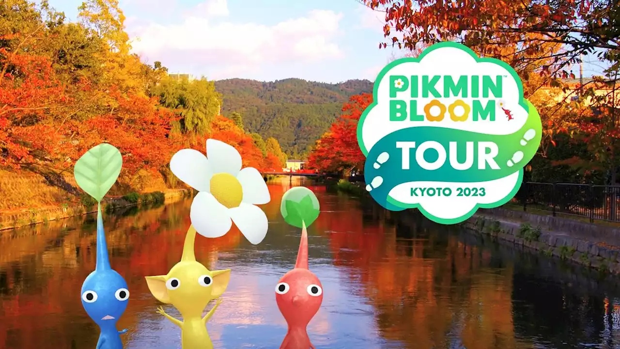 ���������󥰥��٥�ȡ�Pikmin Bloom Tour 2023�����ԡʲ��ꥨ�ꥢ�ˡפ�11��12���˳��š����������ߤμ��դ�10��8��18��00�ޤ�