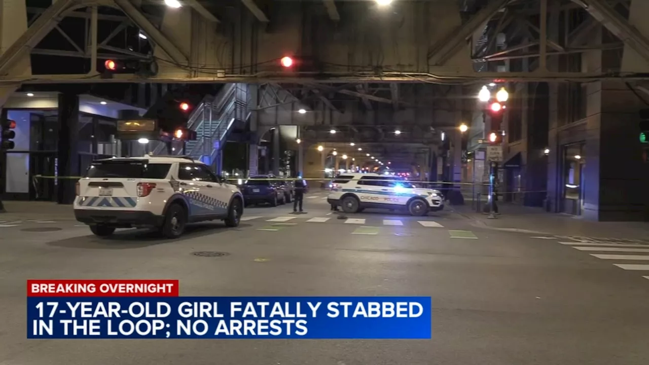 Girl, 17, stabbed to death in Loop, Chicago police say