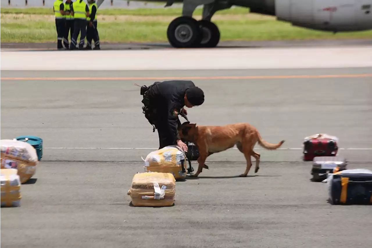 What happens in case of a bomb joke or threat on a plane?