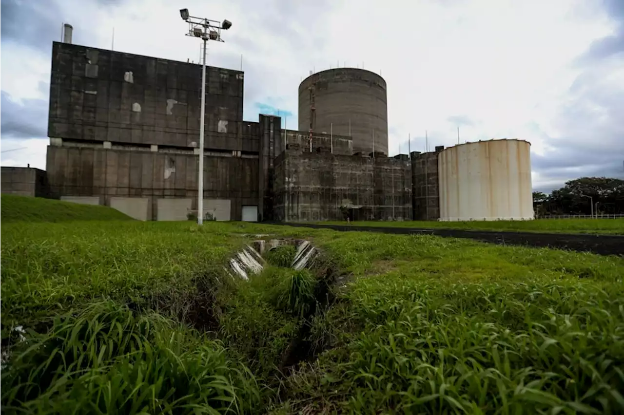 Bataan nuke plant can be restarted in 3-4 years: group